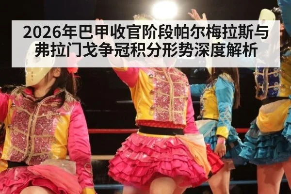 2026年巴甲收官阶段帕尔梅拉斯与弗拉门戈争冠积分形势深度解析
